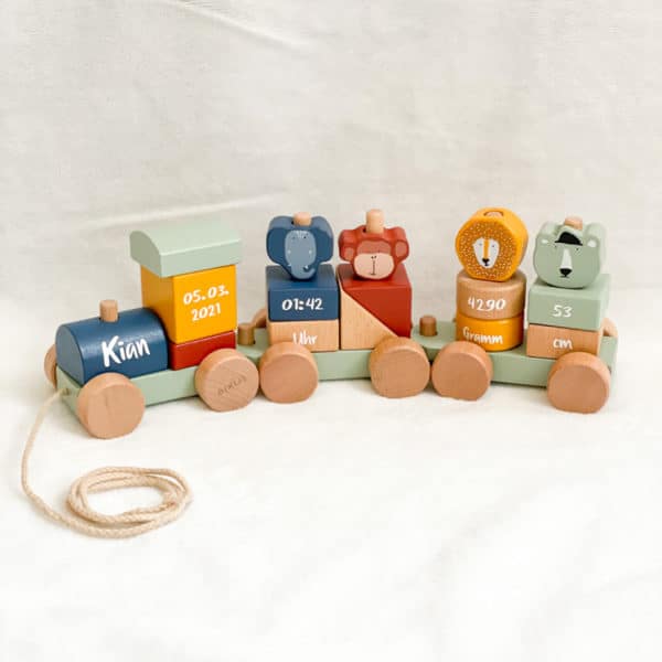 Trixie Baby Holzzug Eisenbahn aus Holz, bunt