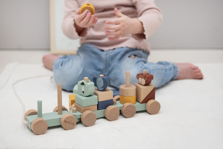 Trixie Baby Holzzug Eisenbahn aus Holz, bunt